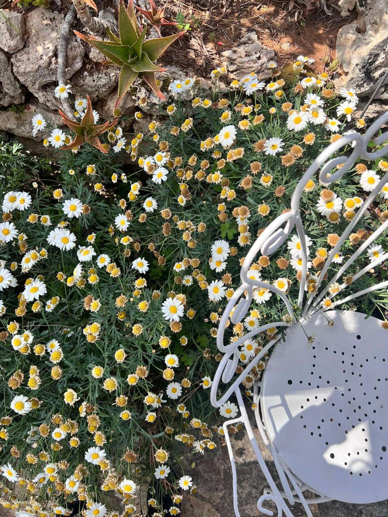 Villa Casa Vacanze Fiore Gallipoli Bagian luar foto
