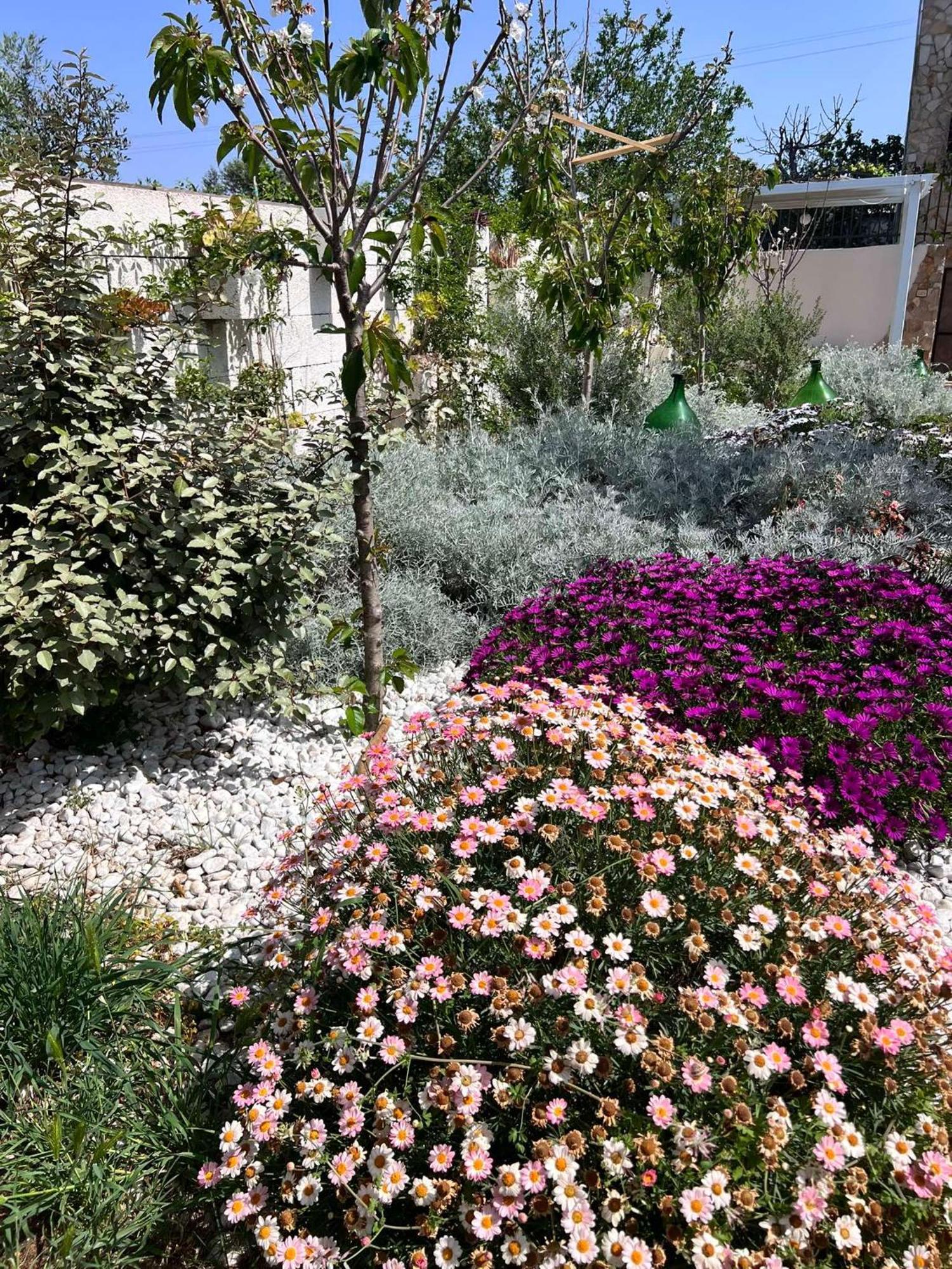 Villa Casa Vacanze Fiore Gallipoli Bagian luar foto