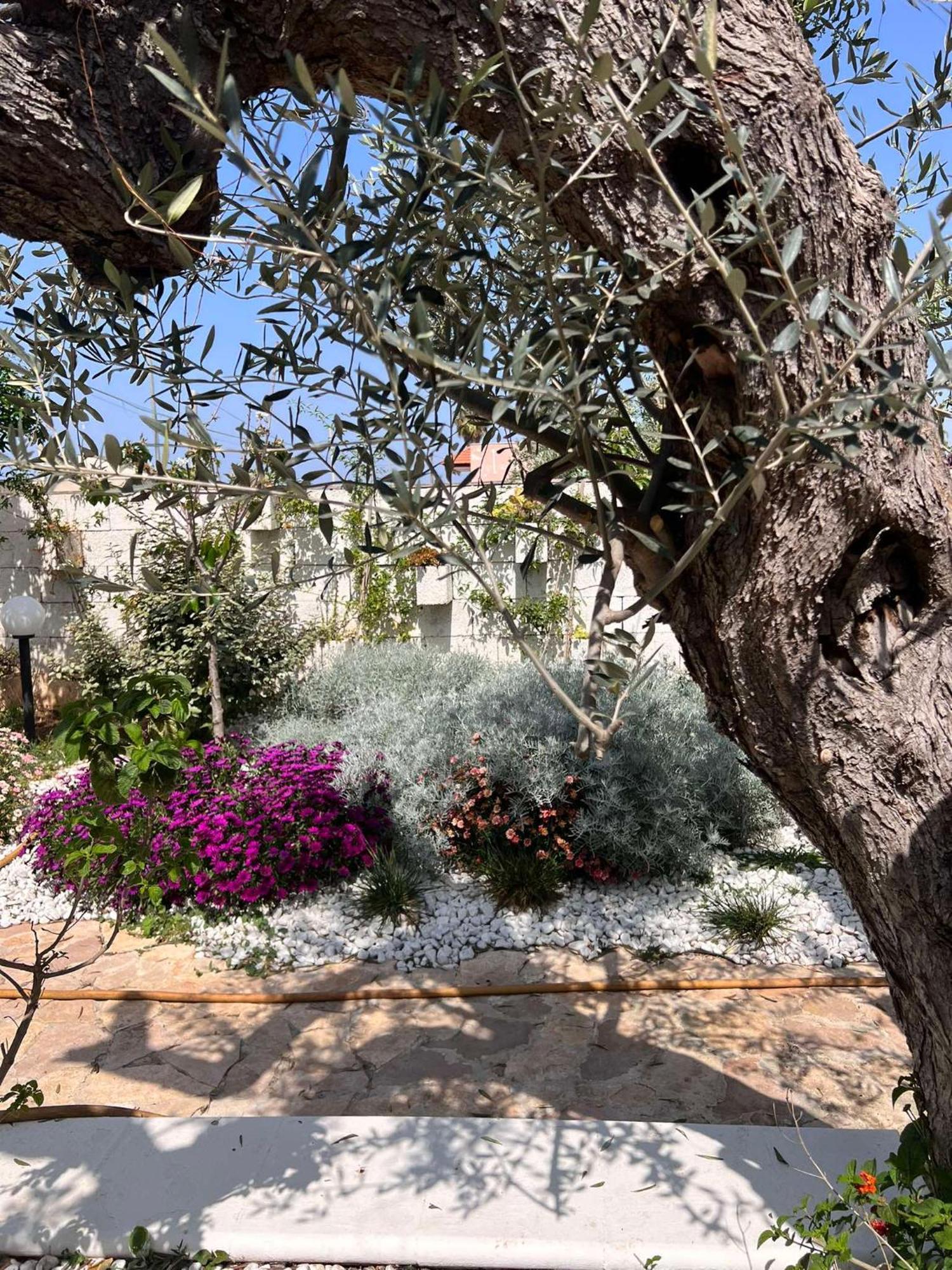 Villa Casa Vacanze Fiore Gallipoli Bagian luar foto
