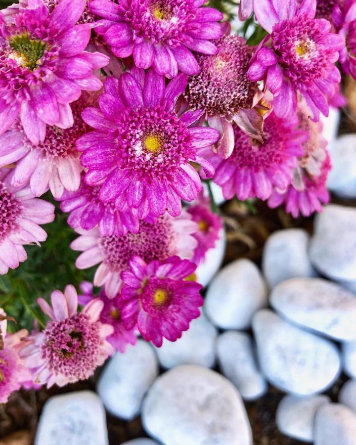 Villa Casa Vacanze Fiore Gallipoli Bagian luar foto